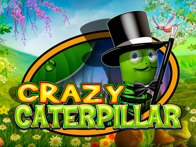 Crazy Caterpillar
