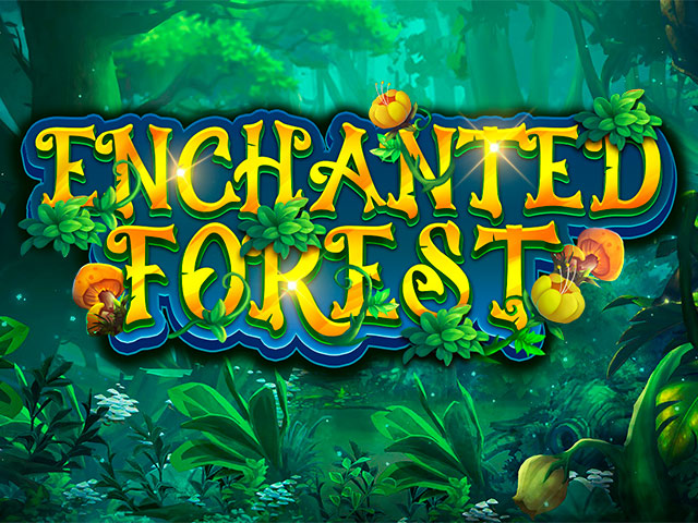 Enchanted Forest