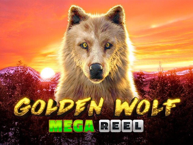 Golden Wolf