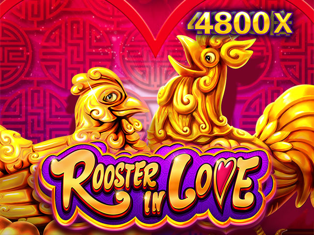 Rooster In Love