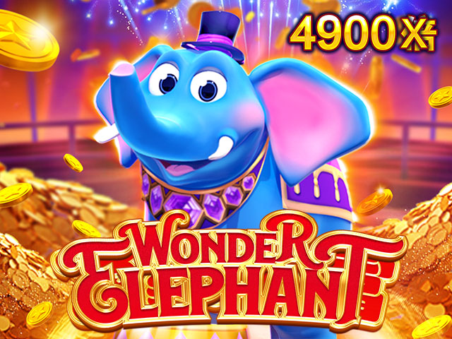 Wonder Elephant