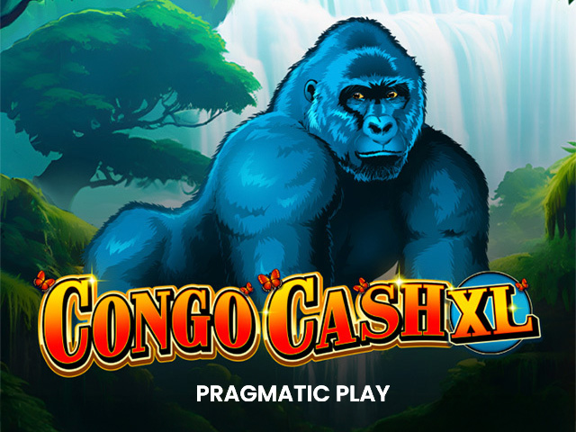 Congo Cash XL
