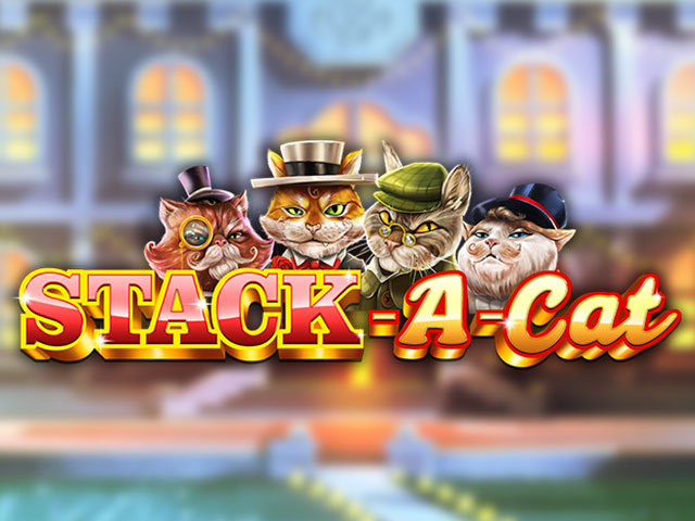 Stack-a-Cat