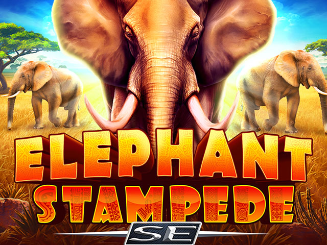 Elephant Stampede
